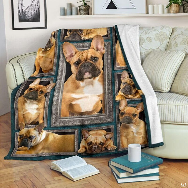 French Bulldog blanket draped over an armchair displaying framed puppy portraits on a teal background.