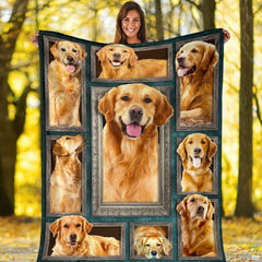 Side perspective showing golden retriever pet gallery illustration with white lining.