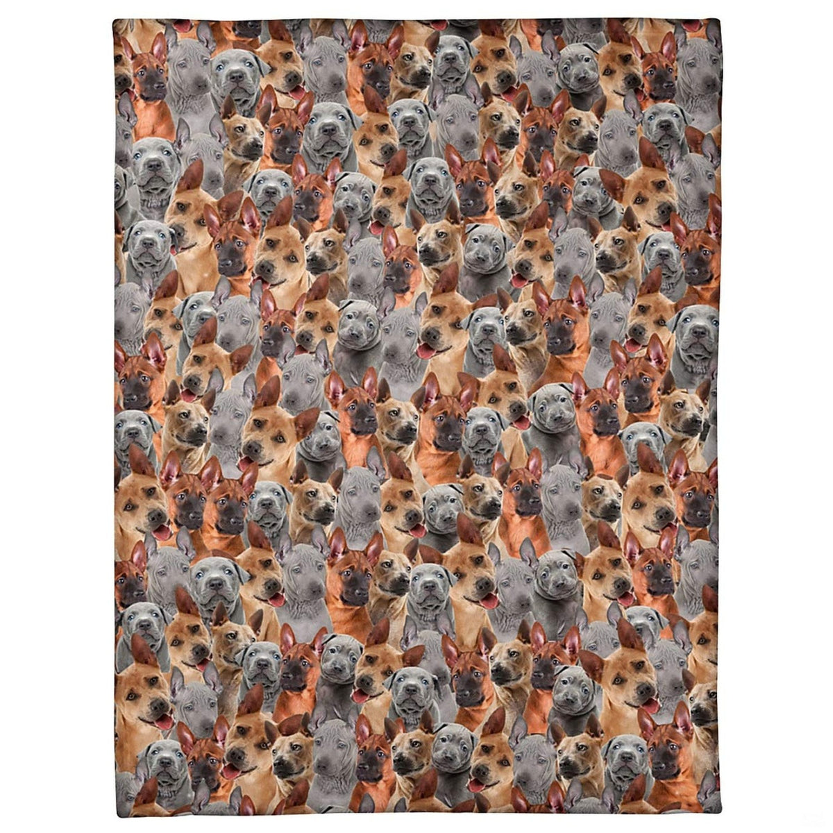 Thai Ridgeback dog breed blanket featuring an all-over photo collage of blue and fawn puppies.