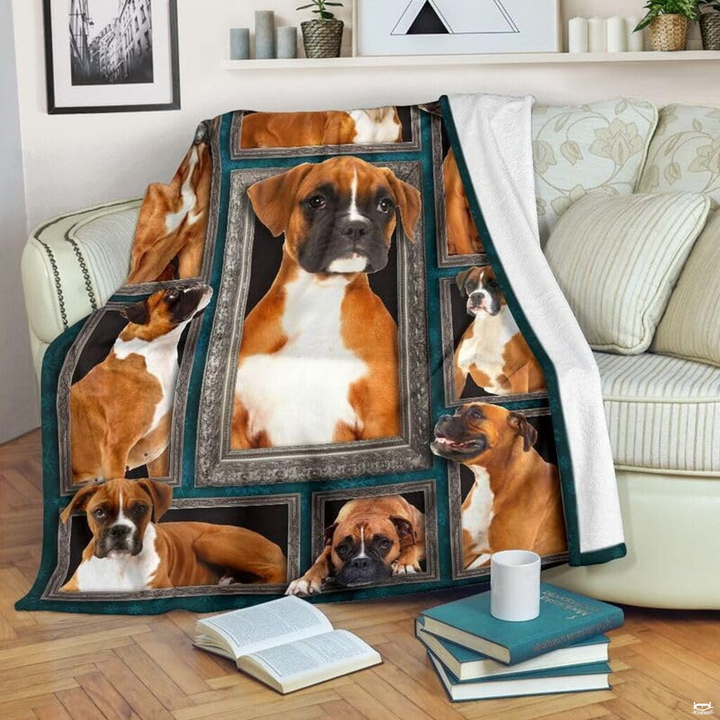 Fawn Boxer Dog blanket draped over an armchair displaying framed dog portraits on a teal background.