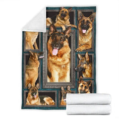 Overhead view of framed dog artwork on deep teal decorative bedding display.