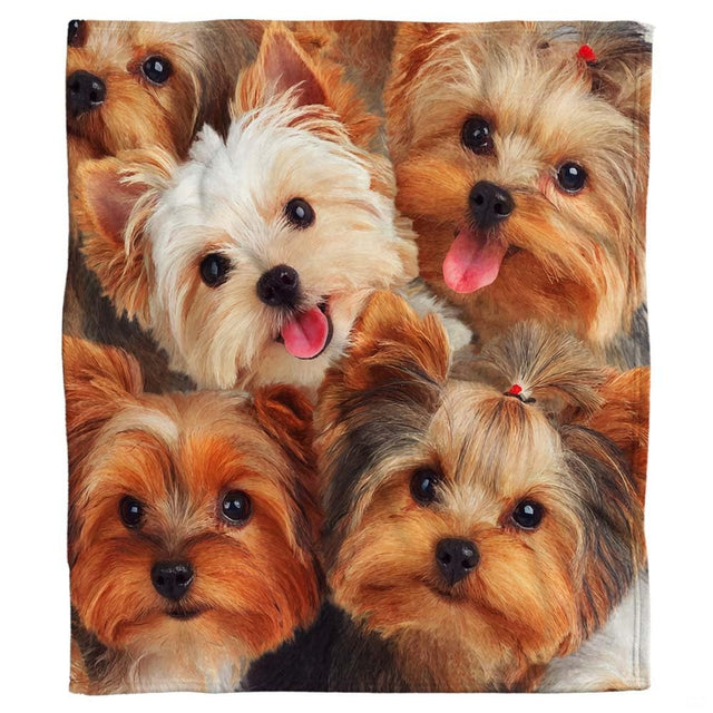 Close-up of the central blonde puppy and smiling golden Yorkie showing pink tongues and perky ears on a blanket