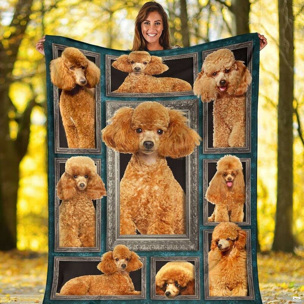 Folded canine graphic blanket highlighting antique silver frames and teal