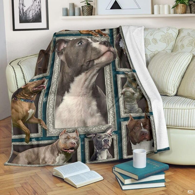 Pit Bull Terrier blanket draped over an armchair displaying framed dog portraits on a teal background.