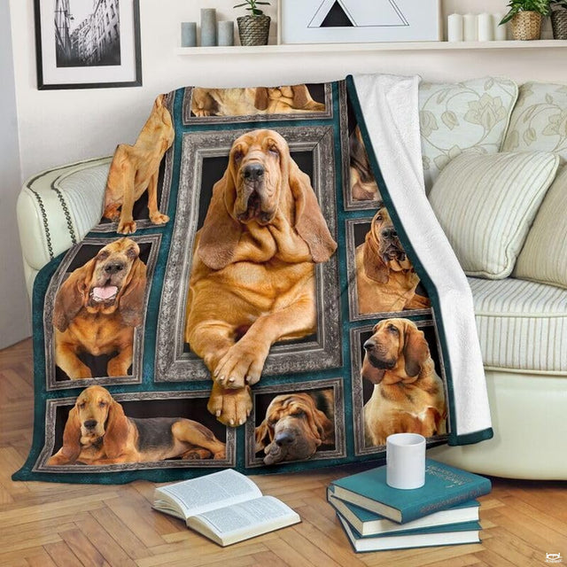 Bloodhound dog framed gallery wall blanket draped over sofa