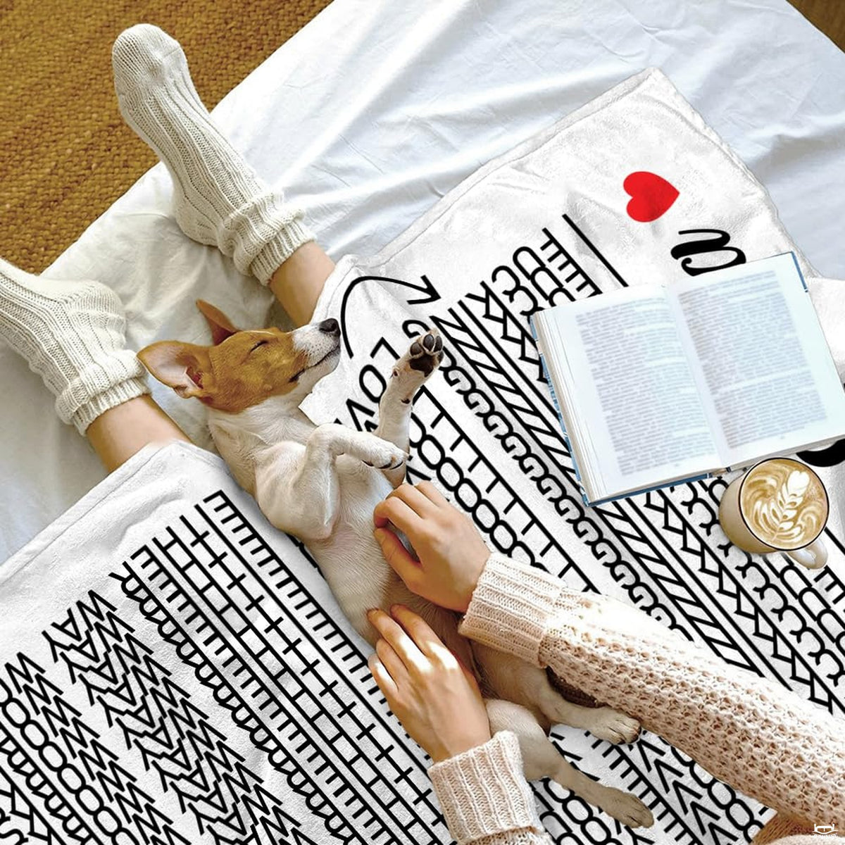 Laundering graphic showing gentle washing recommendations for printed couple throw blanket