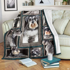 Miniature Schnauzer blanket draped across an armchair presenting framed dog portraits on a teal background.