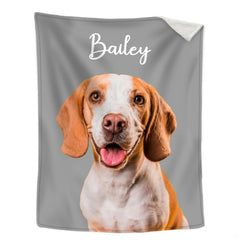 Smiling hound dog portrait on grey backdrop with cursive script for pine tree bed spread decor.