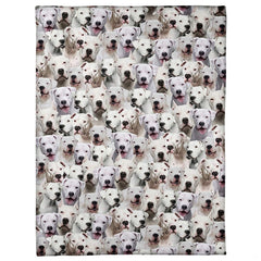 Dogo Argentino dog breed pattern blanket featuring all-over collage of expressive white canine faces.