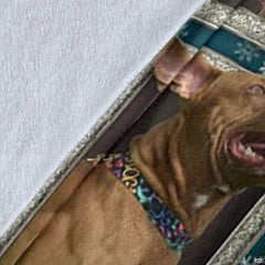 Pit Bull Terrier decorative throw blanket display.