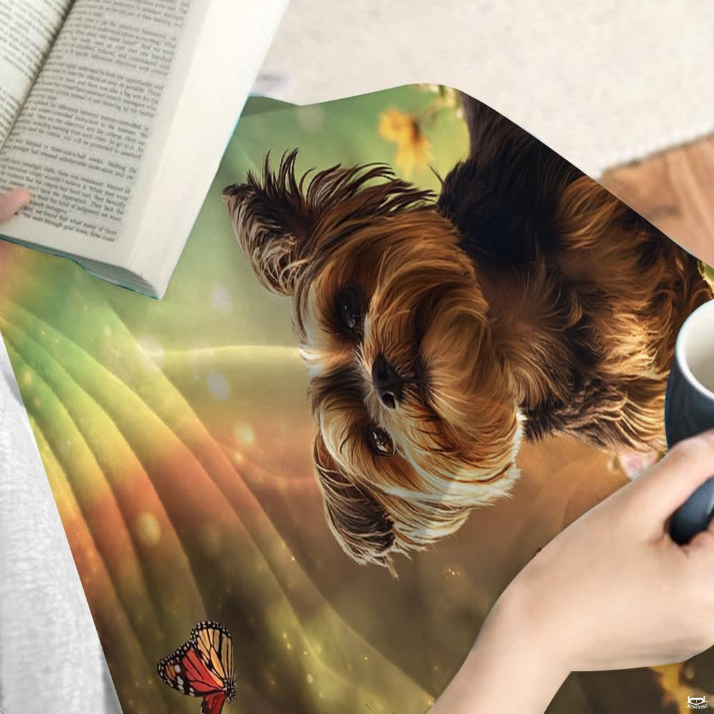 Yorkshire terrier dog in wildflower meadow beneath colorful rainbow and butterflies, view 4.