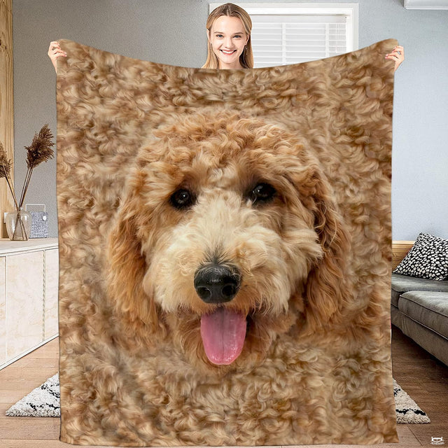 All over curly golden doodle dog face blanket held upright by model