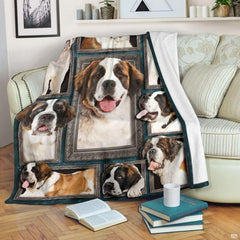 Saint Bernard blanket draped over an armchair displaying framed dog portraits on a teal background.