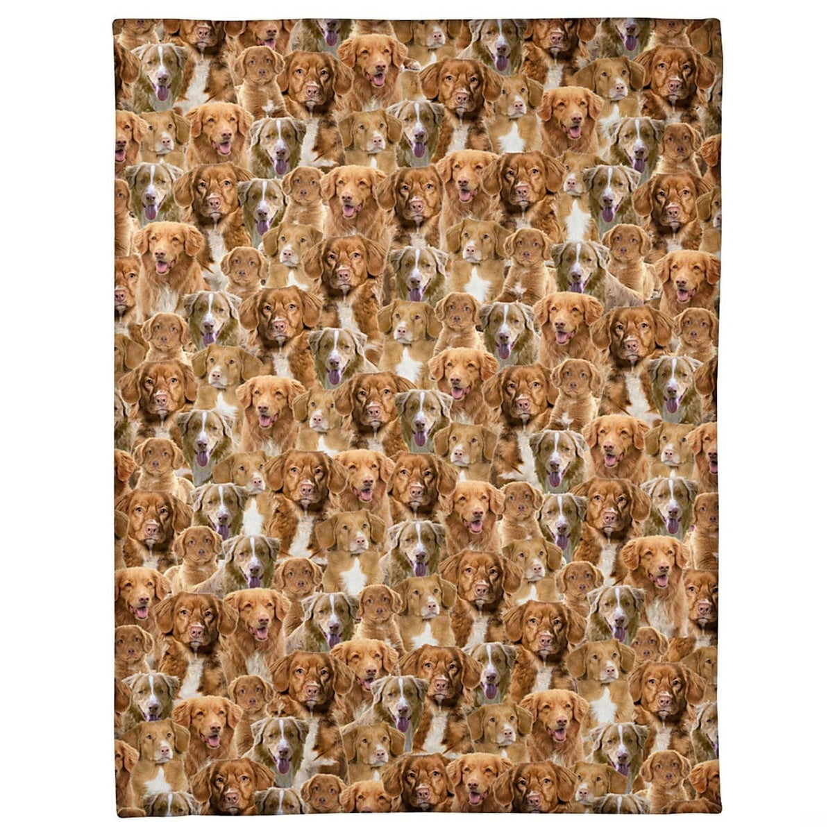Nova Scotia duck tolling retriever dog portraits collage montage artwork
