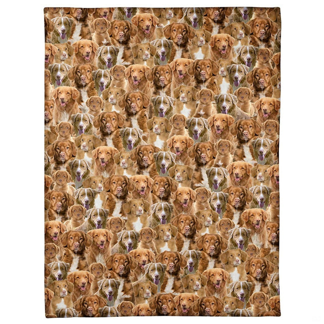 Nova Scotia duck tolling retriever dog portraits collage montage artwork