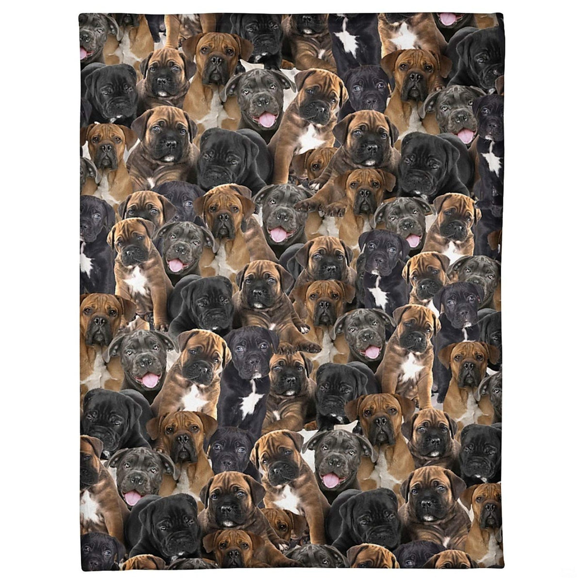 Cane Corso puppy dog breed blanket featuring an all-over photo collage pattern.