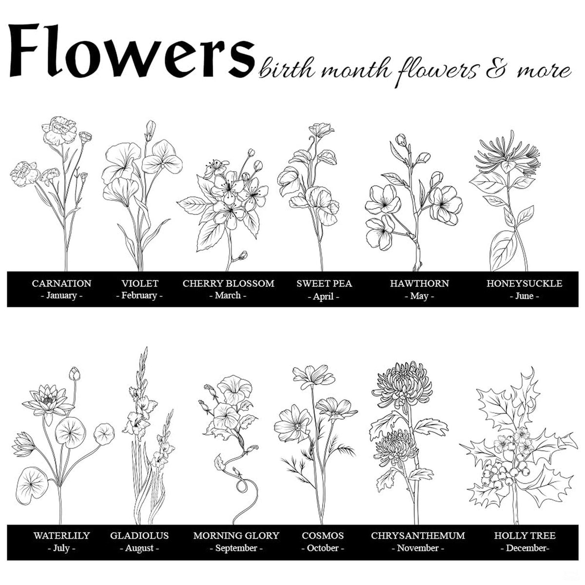 Detailed perspective of the floral botanical line art and poetic typography layout on the throw blanket