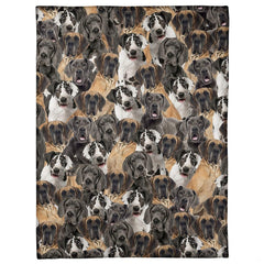 All-over pattern display showing a dense photo collage of stately Great Dane dog portraits.