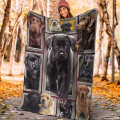 Lifestyle display of burgundy Labrador puppy gallery blanket in a room setting.